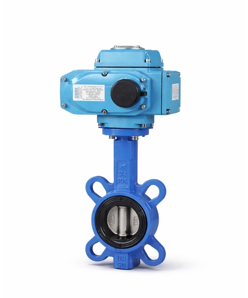 Butterfly Valve 